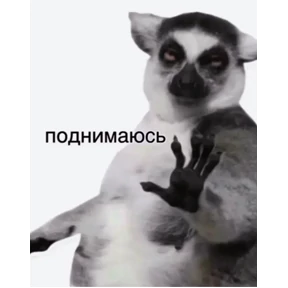 Шабаш — стикер для MAX