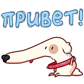 Стикер