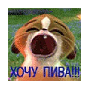 nxzx — стикер для MAX