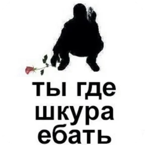nxzx — стикер для MAX