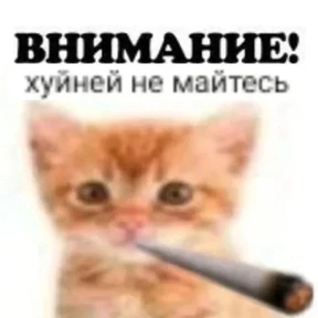 nxzx — стикер для MAX