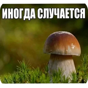 nxzx — стикер для MAX
