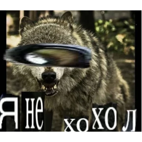 nxzx — стикер для MAX