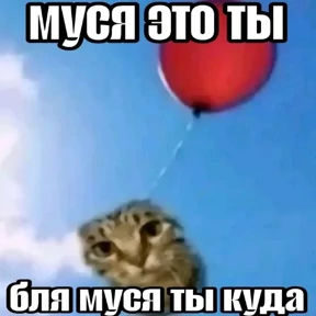 nxzx — стикер для MAX