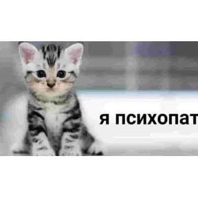 nxzx — стикер для MAX