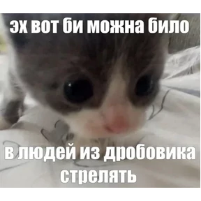 nxzx — стикер для MAX
