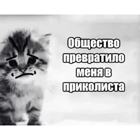 nxzx — стикер для MAX