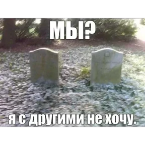 nxzx — стикер для MAX