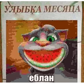 nxzx — стикер для MAX