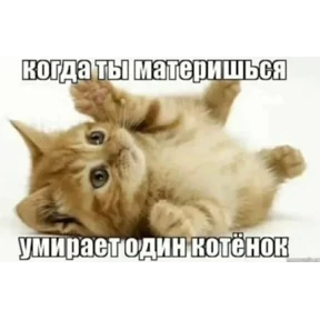 nxzx — стикер для MAX