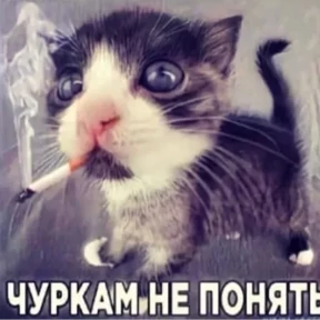 nxzx — стикер для MAX