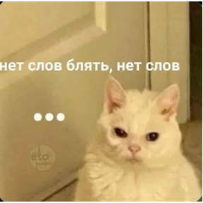 Шабаш — стикер для MAX