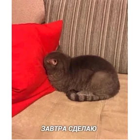 САНЕЧКА СНИМАЕШЬ. ОЙОЙОЙ — стикер для MAX