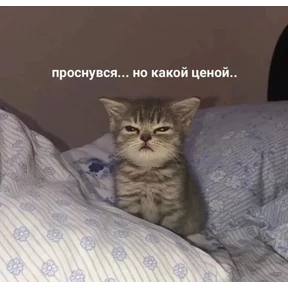 САНЕЧКА СНИМАЕШЬ. ОЙОЙОЙ — стикер для MAX