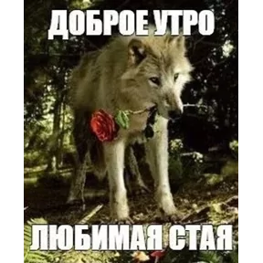 ✅ Открытки и поздравления - Подпишись