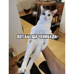 Стикерпак Черемша четырэ корондаша) для мессенджера MAX