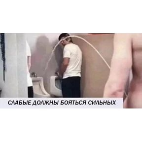 Черемша четырэ корондаша) — стикер для MAX