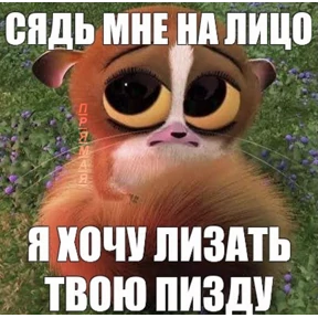 Черемша четырэ корондаша) — стикер для MAX
