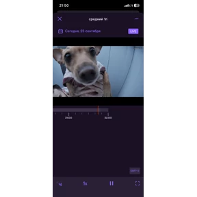 Рейчел — стикер для MAX