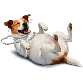 Ева — стикер для MAX