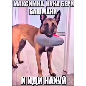 Шабаш — стикер для MAX