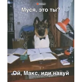 Шабаш — стикер для MAX