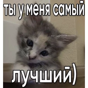 mimi — стикер для MAX