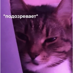 mimi — стикер для MAX