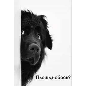 Мои — стикер для MAX
