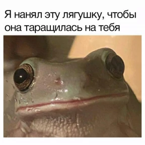 томатный макс — стикер для MAX