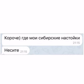 Котостикеры — стикер для MAX