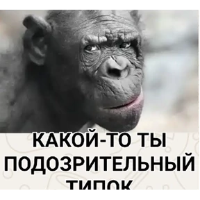 Шо? — стикер для MAX