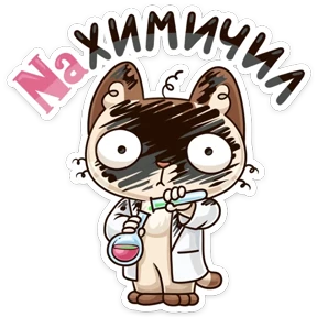 Котик ученик — стикер для MAX