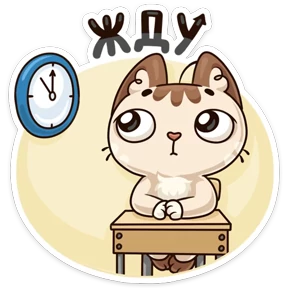 Котик ученик — стикер для MAX