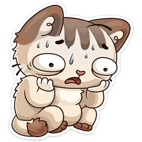 Котик ученик — стикер для MAX
