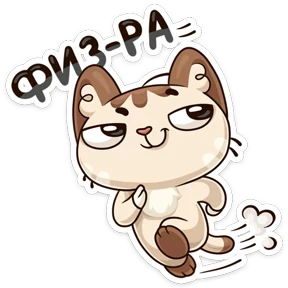 Котик ученик — стикер для MAX