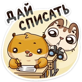 Котик ученик — стикер для MAX