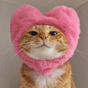 mimi — стикер для MAX
