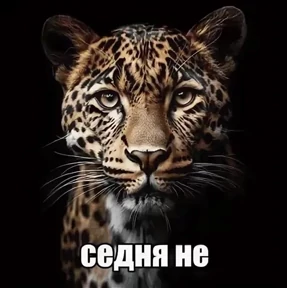 mimi — стикер для MAX