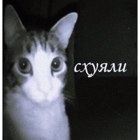 mimi — стикер для MAX