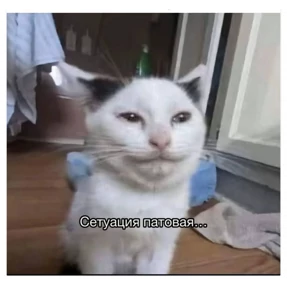 Макс мой токсичный — стикер для MAX
