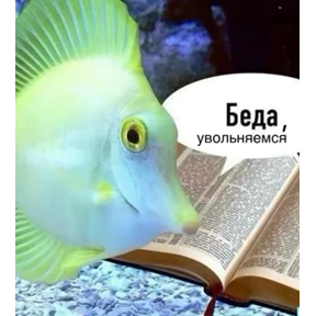 @AlexZi — стикер для MAX