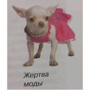 mimi — стикер для MAX