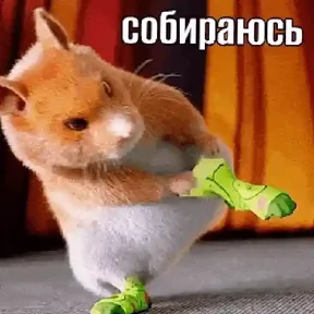 Стикер