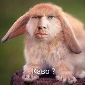Все — стикер для MAX