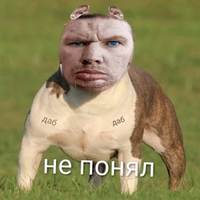 Все — стикер для MAX