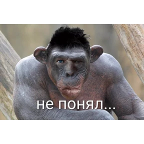 Все — стикер для MAX