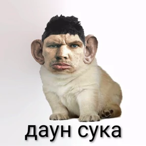 Все — стикер для MAX