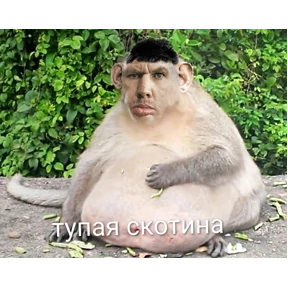 Все — стикер для MAX