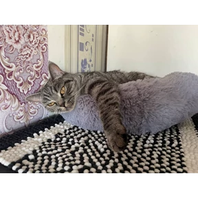 Лейла — стикер для MAX